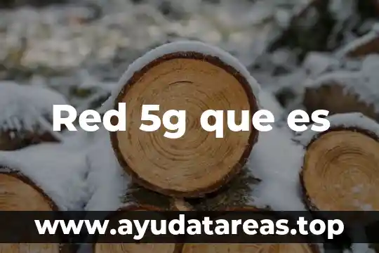 Red 5g que es