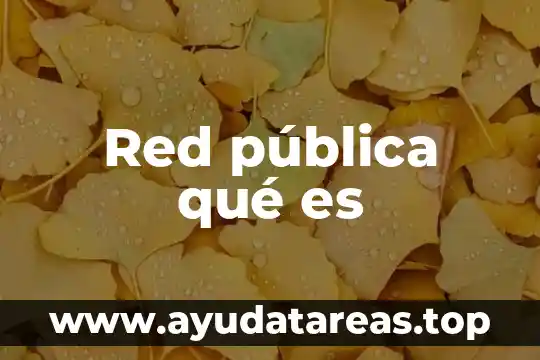 Que es el sulfito red 3 Red pública qué es