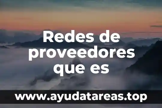 Redes de proveedores que es
