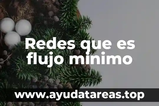 Que es un reductor de flujo de agua 6 Redes que es flujo minimo