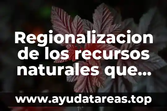 Que es la explotación excesiva de los recursos naturales 5 Regionalizacion de los recursos naturales que es