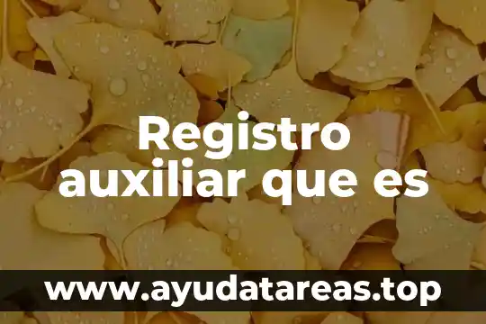Registro auxiliar que es