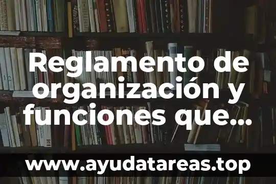 Reglamento de organización y funciones que es