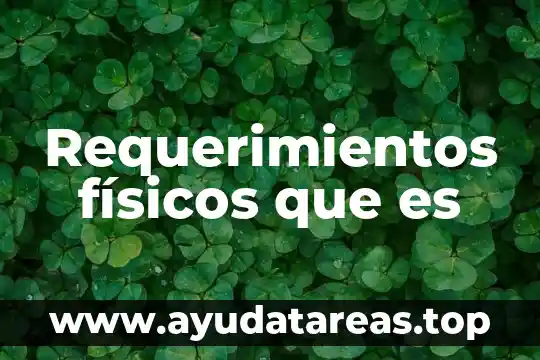Requerimientos físicos que es