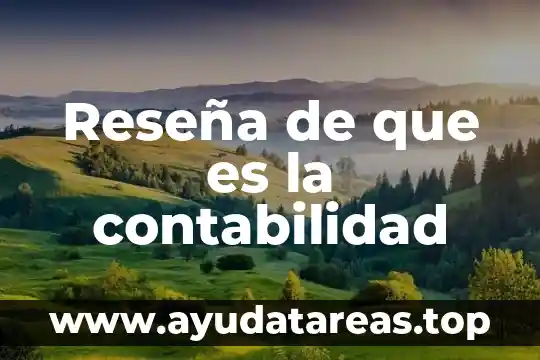 Qué es reseña y sus tipos 4 Reseña de que es la contabilidad