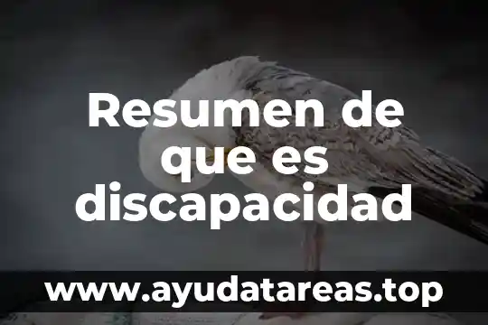 Que es un resumen de examen 5 Resumen de que es discapacidad