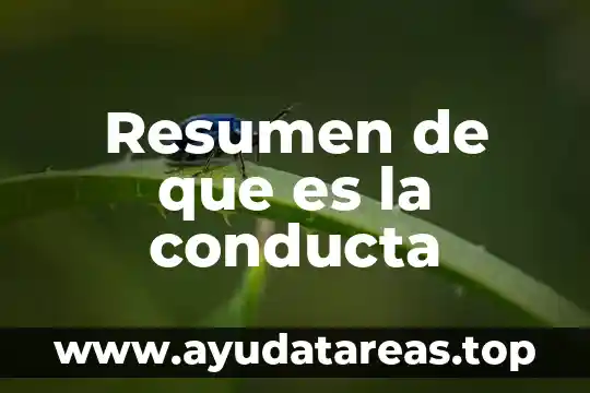 Resumen de que es la conducta