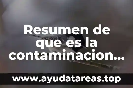 Que es modelos analitico contaminacion del agua 5 Resumen de que es la contaminacion del aire