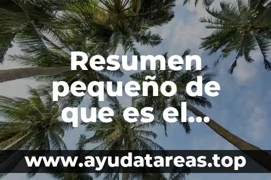 Resumen pequeño de que es el ahorro