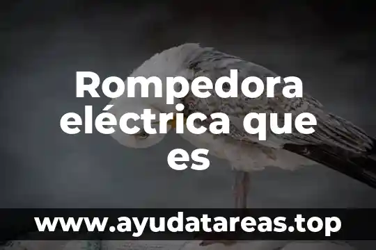 Qué es la distorsión de una señal eléctrica 3 Rompedora eléctrica que es