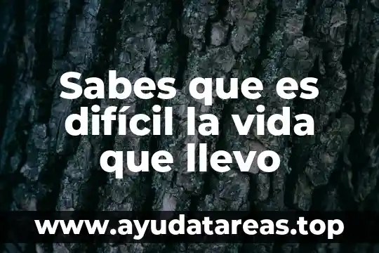 Sabes que es difícil la vida que llevo
