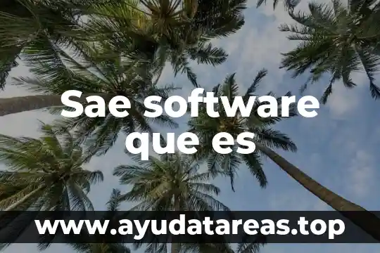 Sae software que es