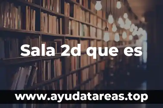 Sala 2d que es