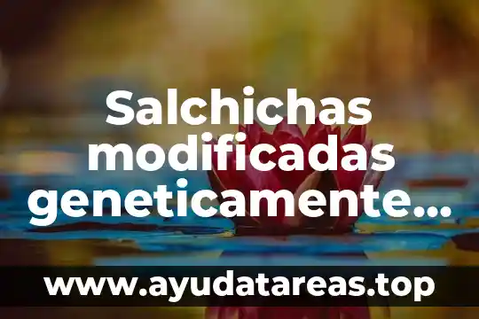 Que es soñar con cucarachas en la comida 3 Salchichas modificadas geneticamente comida que es