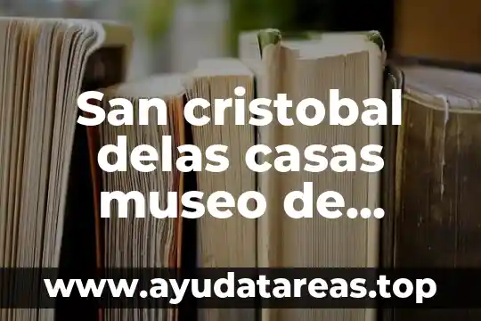 San cristobal delas casas museo de bichos que es