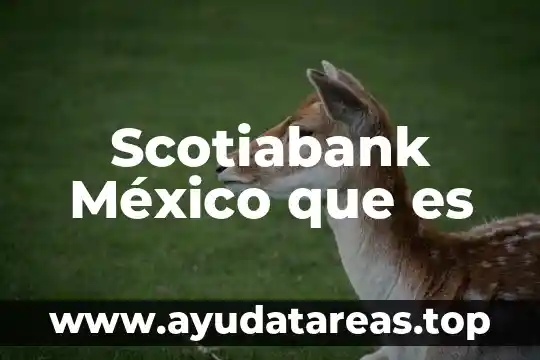 Scotiabank México que es