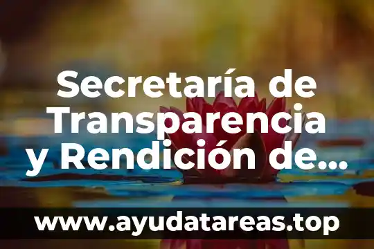 Qué es la secretaria de salud en jalisco 4 Secretaría de Transparencia y Rendición de Cuentas Guanajuato que es