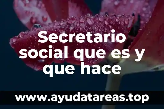 Secretario social que es y que hace