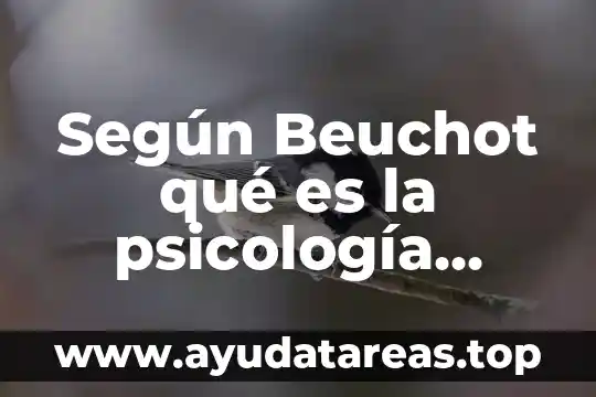 Según Beuchot qué es la psicología jurídica