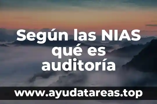 Según las NIAS qué es auditoría