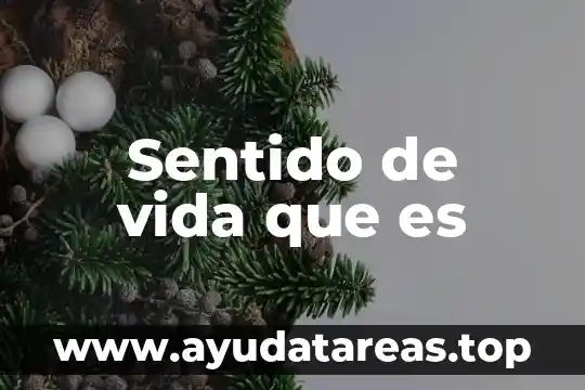 Qué es ser en el doble sentido tijeras 6 Sentido de vida que es