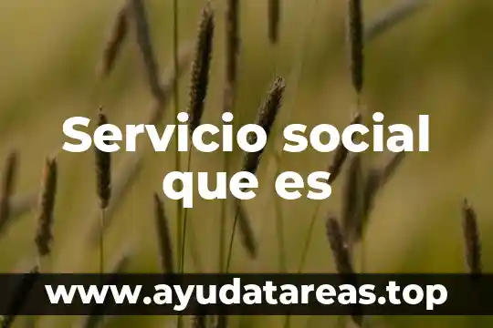 Ataque de denegación del servicio que es 7 Servicio social que es