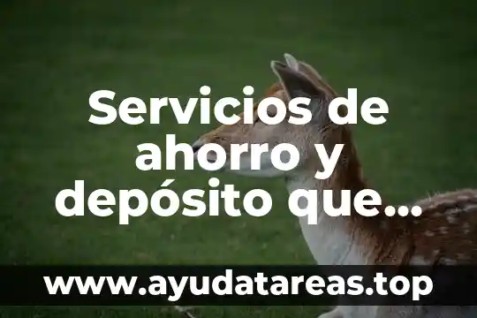 Servicios de ahorro y depósito que es