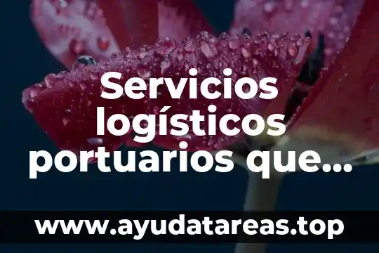 Servicios logísticos portuarios que es