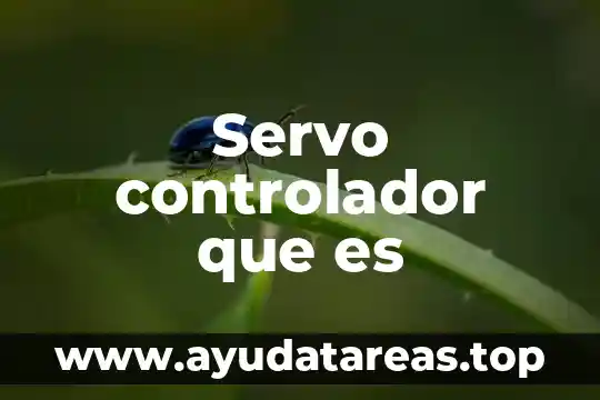 Servo controlador que es