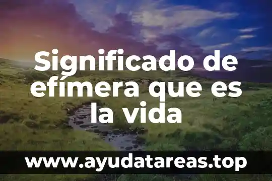 Estructura financiera su significado y que es 6 Significado de efímera que es la vida