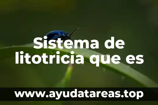 Que es elevacion del agua 4 Sistema de litotricia que es