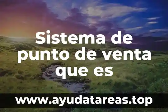 Sistema de punto de venta que es