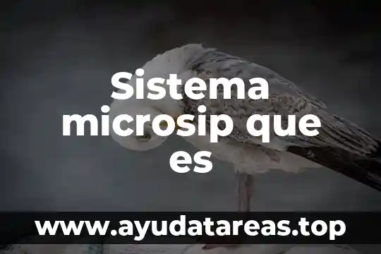 Que es pie sistema decimal significado y concepto 5 Sistema microsip que es