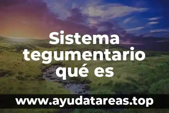 Qué es el sistema endocrino y cómo está compuesto 6 Sistema tegumentario qué es