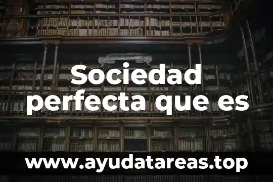 Que es actividad sociedad 3 Sociedad perfecta que es