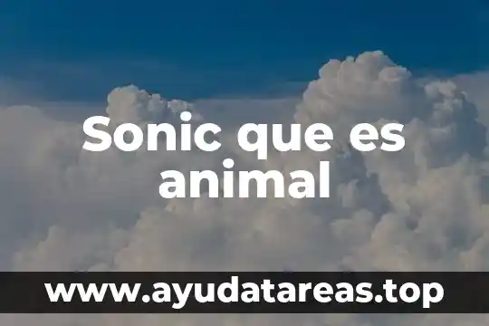 Que es un laboratorio de bromatologia animal 3 Sonic que es animal