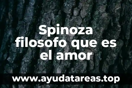 Que es o que significa un tratado de amor 6 Spinoza filosofo que es el amor