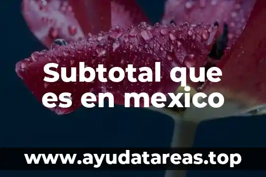 Subtotal que es en mexico