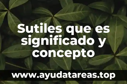 Que es un texto significado 4 Sutiles que es significado y concepto