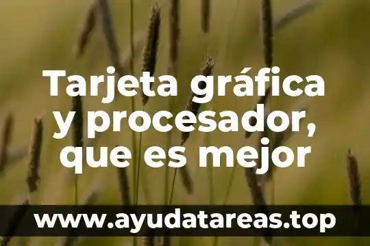 Que es procesador de texto tipos 4 Tarjeta gráfica y procesador, que es mejor
