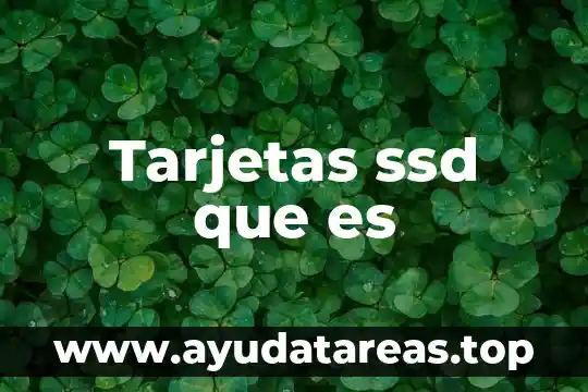 Qué es disparate significado 7 Tarjetas ssd que es