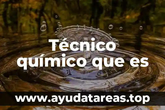 Técnico químico que es