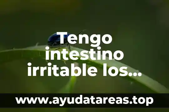 Tengo intestino irritable los alimentos nome nutren que es bueno