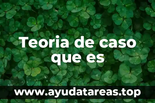 Teoria de caso que es