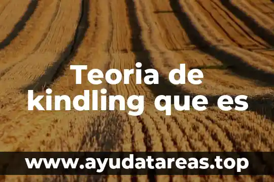 Que es accesoriedad en la teoria de la participacion criminal 3 Teoria de kindling que es