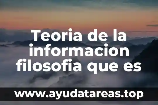 Teoria de la informacion filosofia que es
