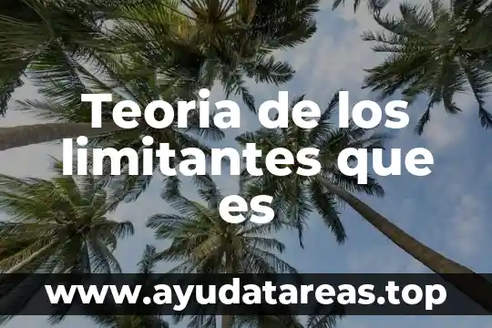 Qué es un teoría implícita 8 Teoria de los limitantes que es