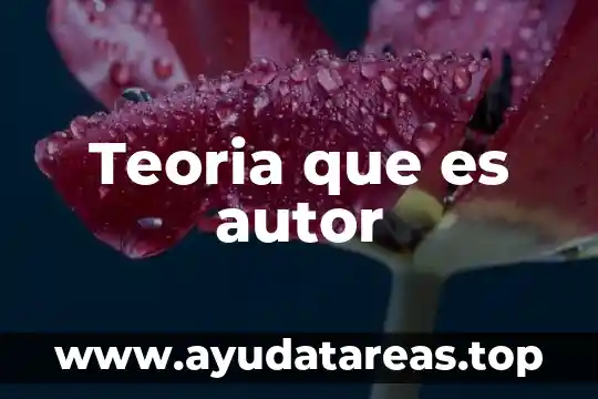 Teoria que es autor
