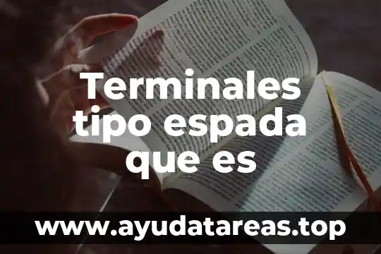 Terminales tipo espada que es