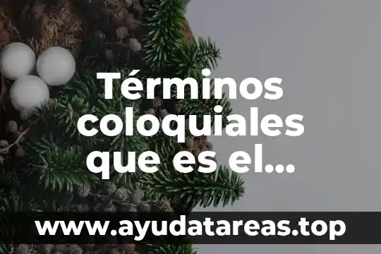 Términos coloquiales que es el perrito